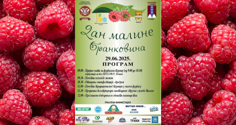 Dan maline u Brankovini – 29. jun 2025.