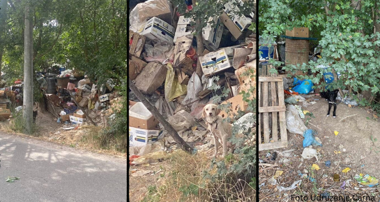 Decenije užasa u Petnici, gde psi umiru vezani i gladni – hordaš iz Valjeva simbol stradanja i nemoći sistema