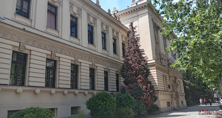 Podrška Mariji Tufegdžić nakon incidenata u Valjevskoj gimnaziji