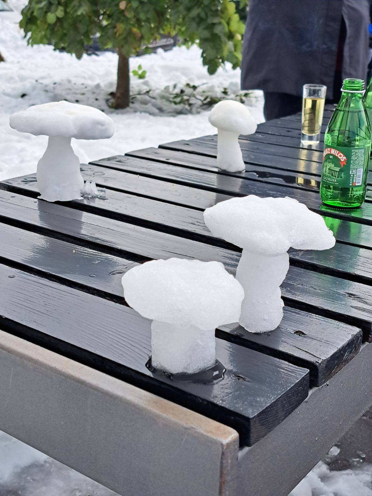 Snežni Dani gljiva oduševili učesnike na Divčibarama