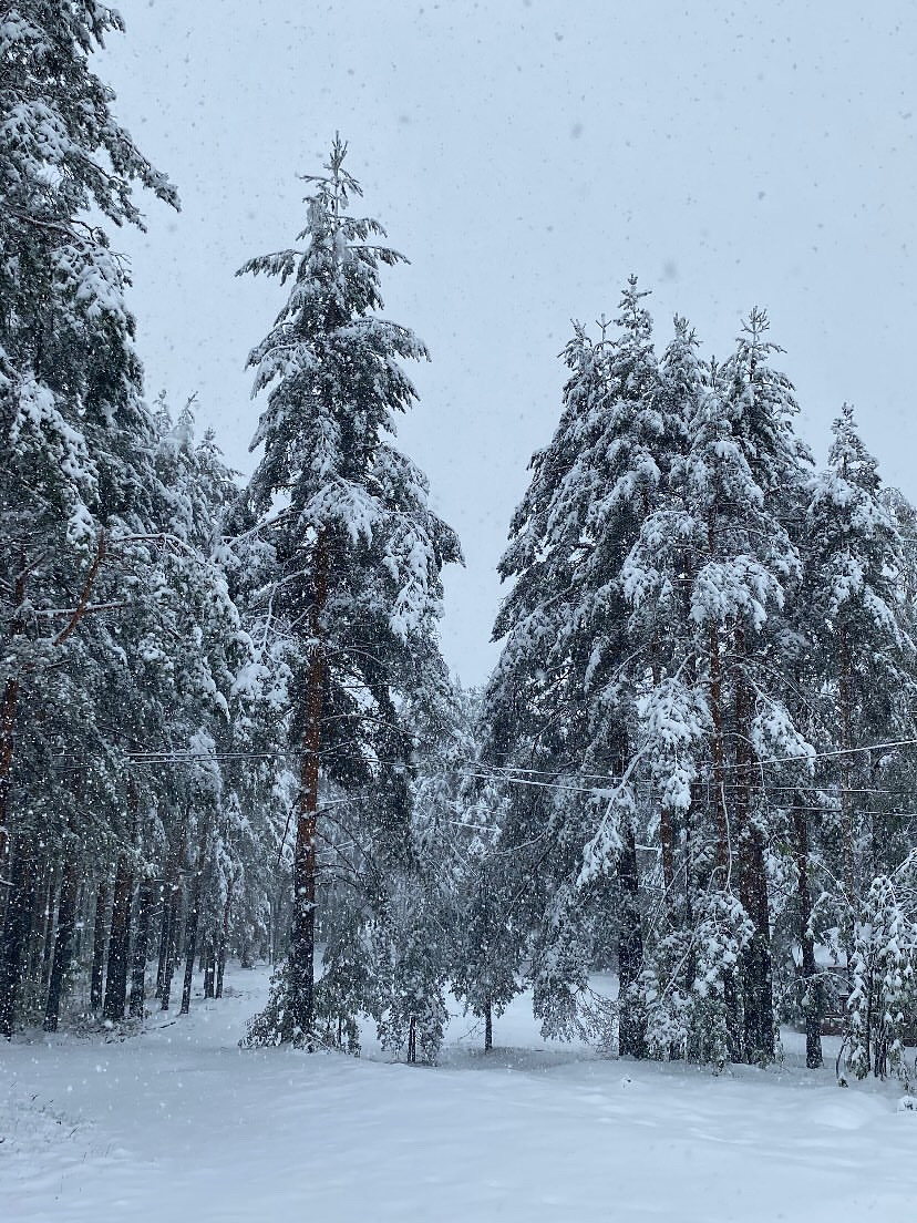 Divčibare zabelele, palo 20 centimetara snega