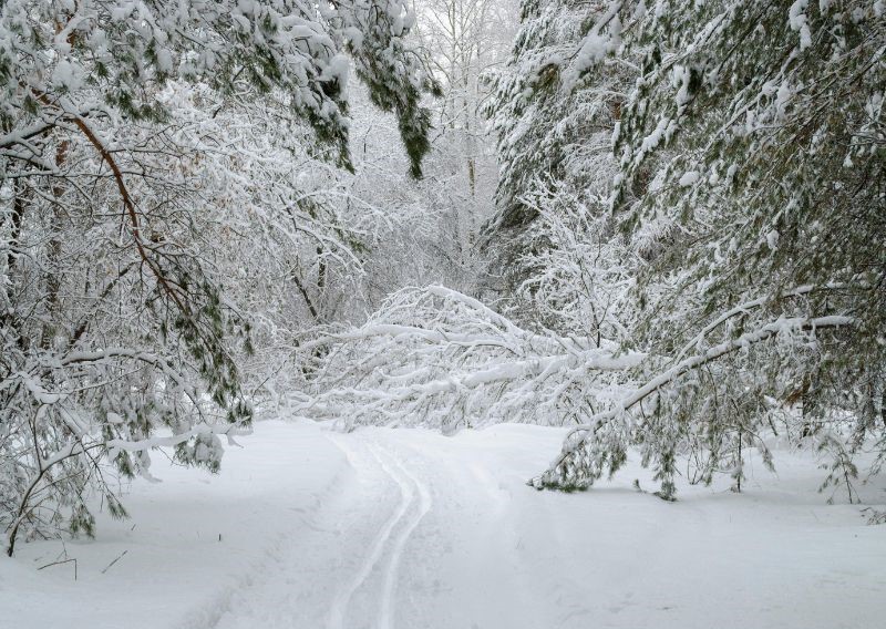 Zabrana kretanja u Parku „Pećina“